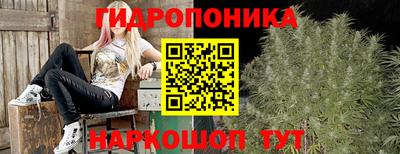 тгк Балаково