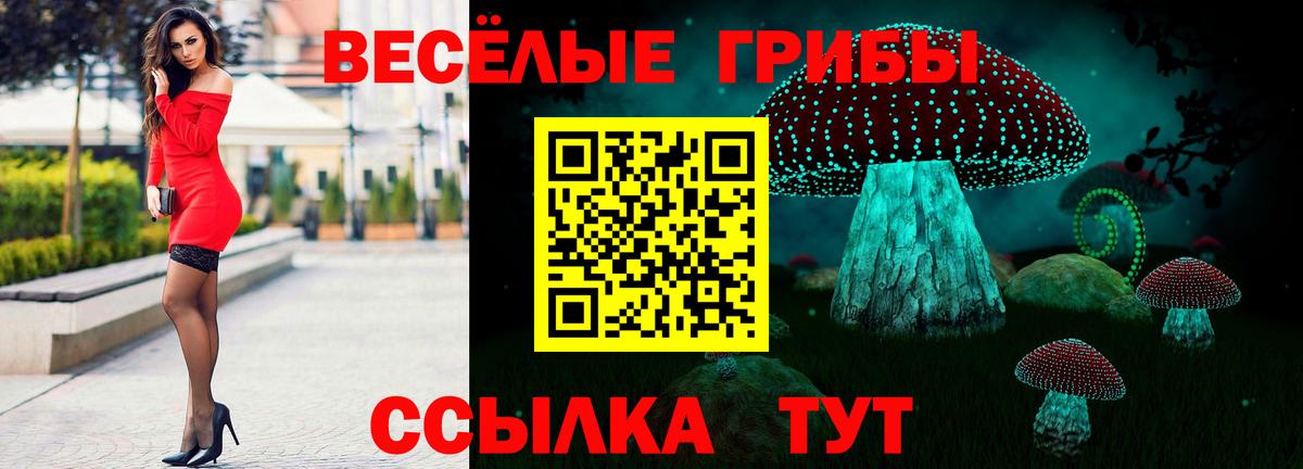 Галлюциногенные грибы ЛСД  Вход с VPN  Псилоцибиновые грибы прущие грибы  Донской 